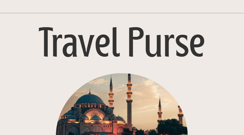 Travel Purse