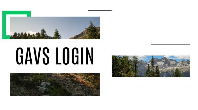 GAVS login