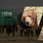 Insite login