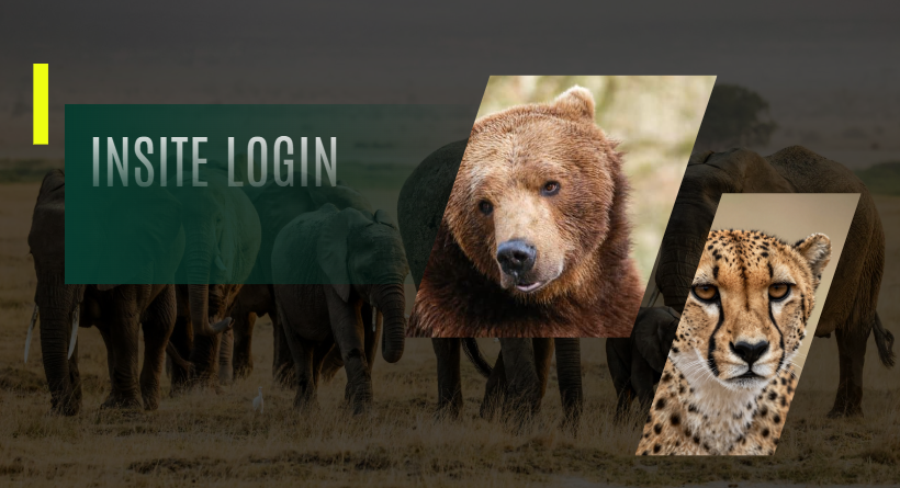 Insite login
