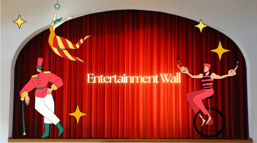 Entertainment Wall