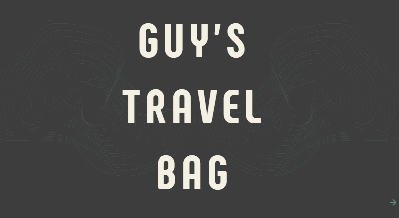 Guy's Travel Bag