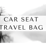 Car Seat Travel Bag