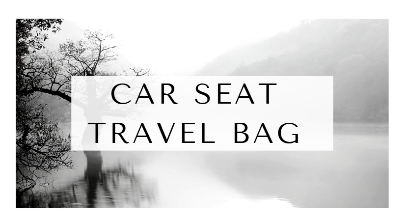 Car Seat Travel Bag